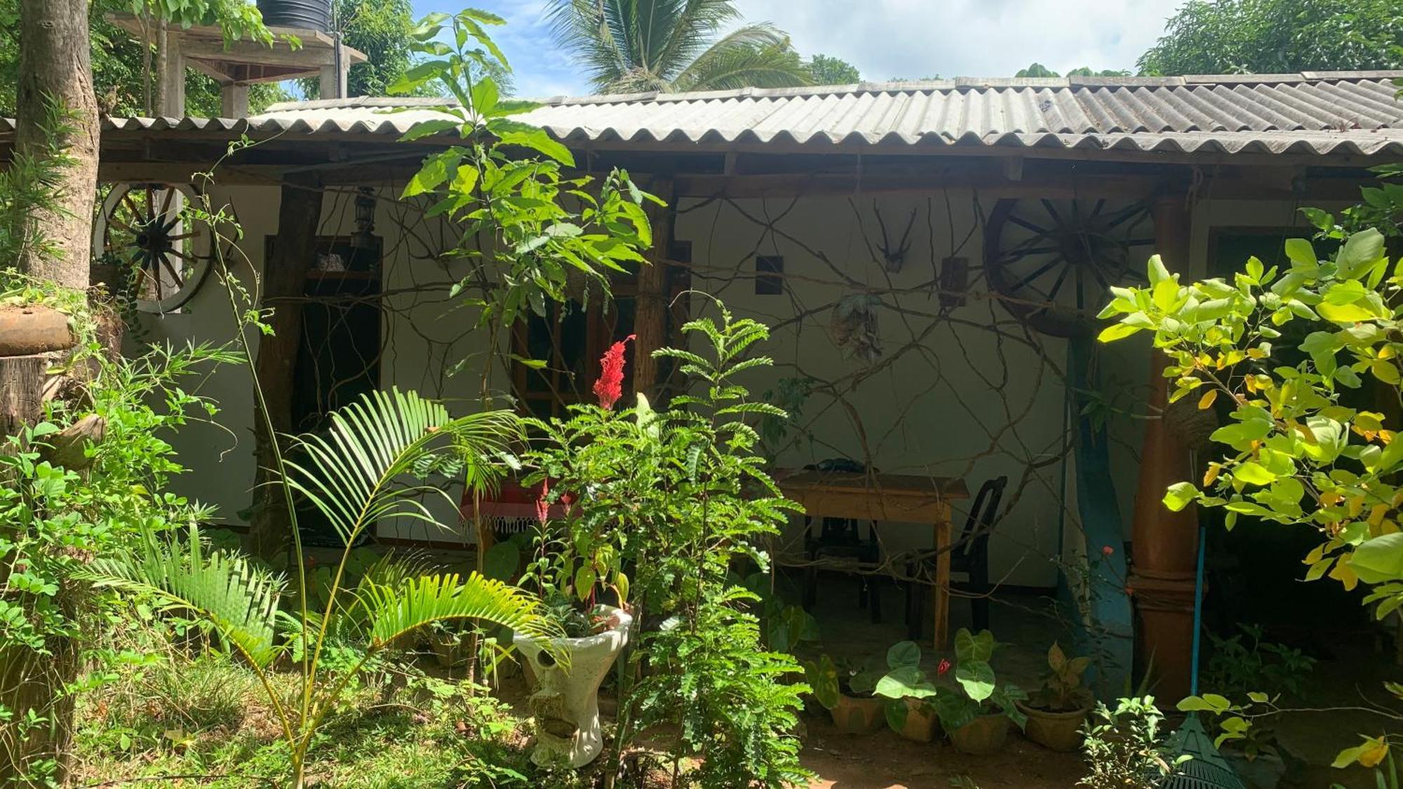 Sigiri Birds Hostel Σιγκιρίγια Εξωτερικό φωτογραφία