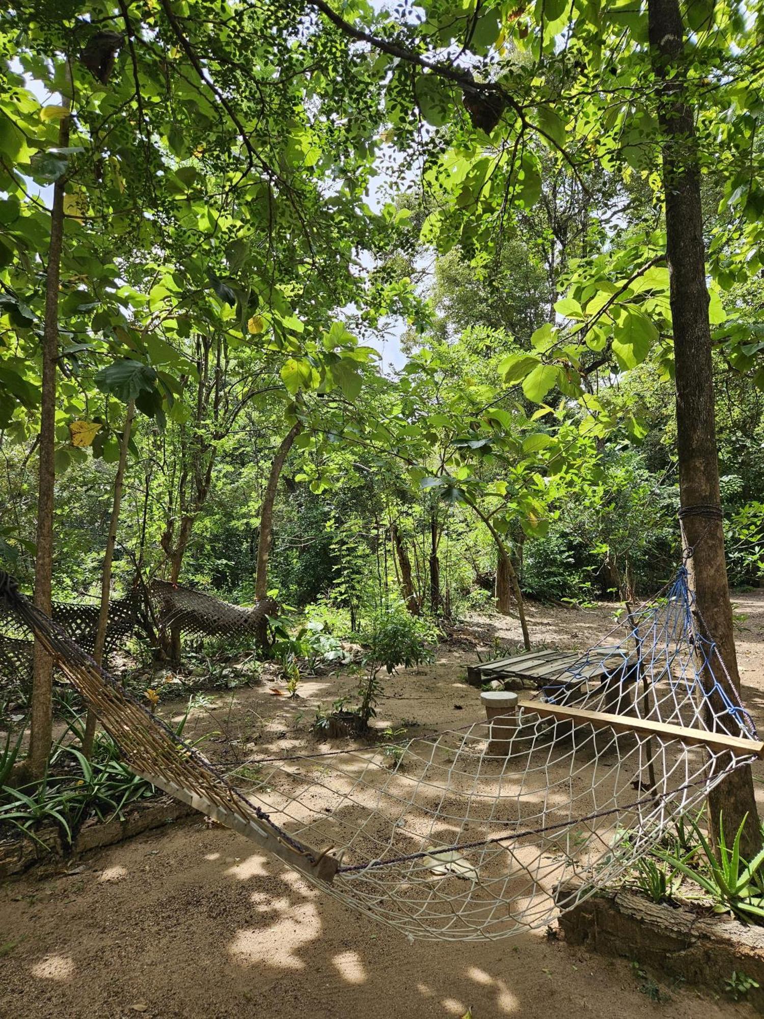 Sigiri Birds Hostel Σιγκιρίγια Εξωτερικό φωτογραφία